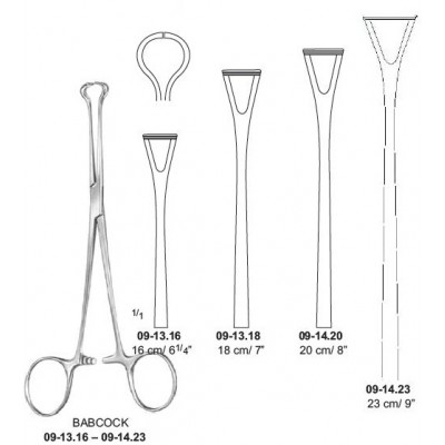 BABCOCK tissue holding forceps